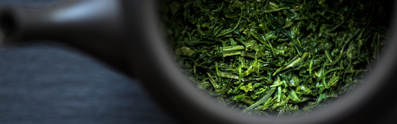 Sencha – Odaya Tea
